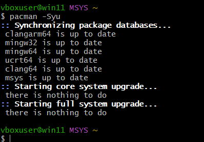 MSYS2 更新完成